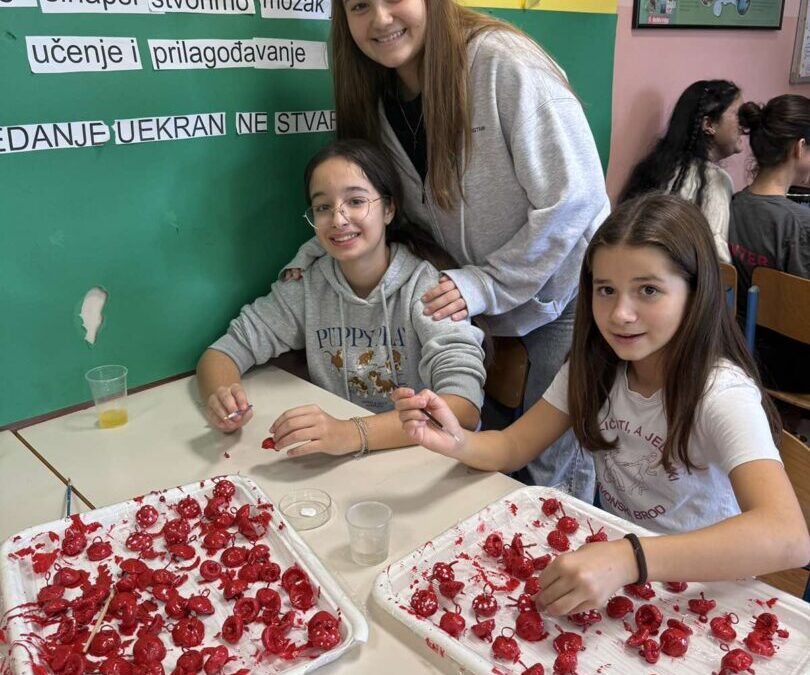 Radionice zadrugara nikad bogatije