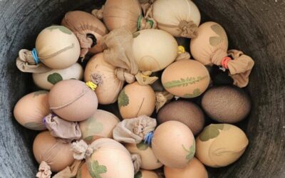 Radionica prirodnog bojanja jaja (pisanica)