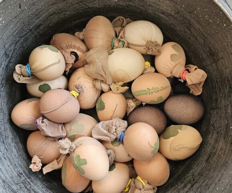 Radionica prirodnog bojanja jaja (pisanica)